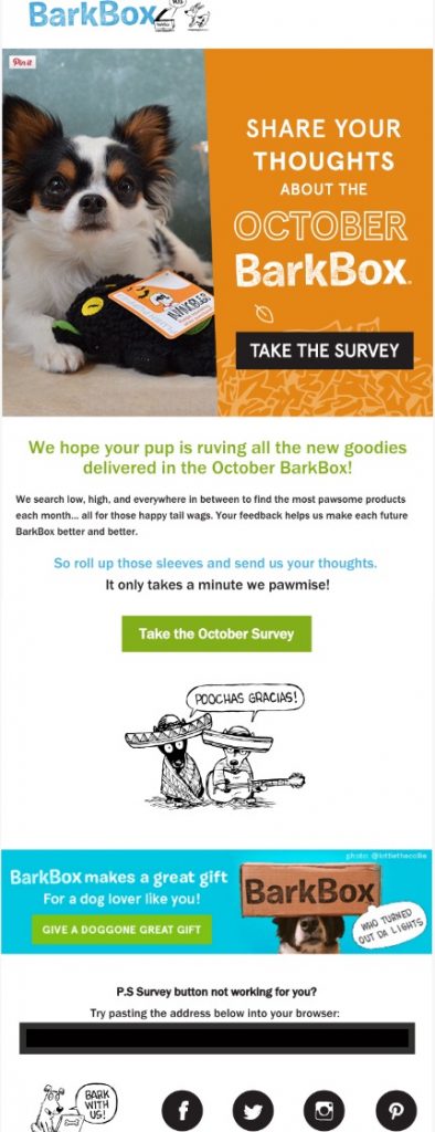 BarkBox Email Copywriting Example