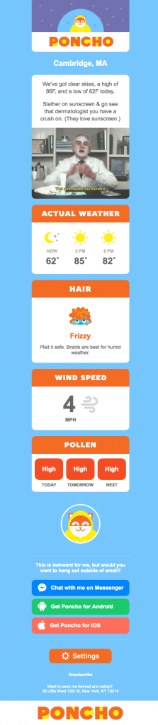 Poncho Email Copywriting Example