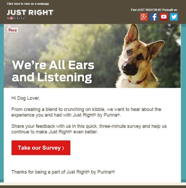 Purina Email Copywriting Example