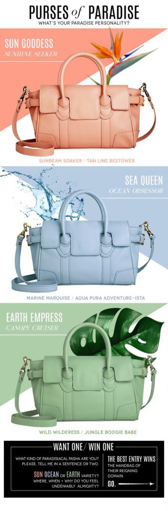 Purses of Paradise Email Design