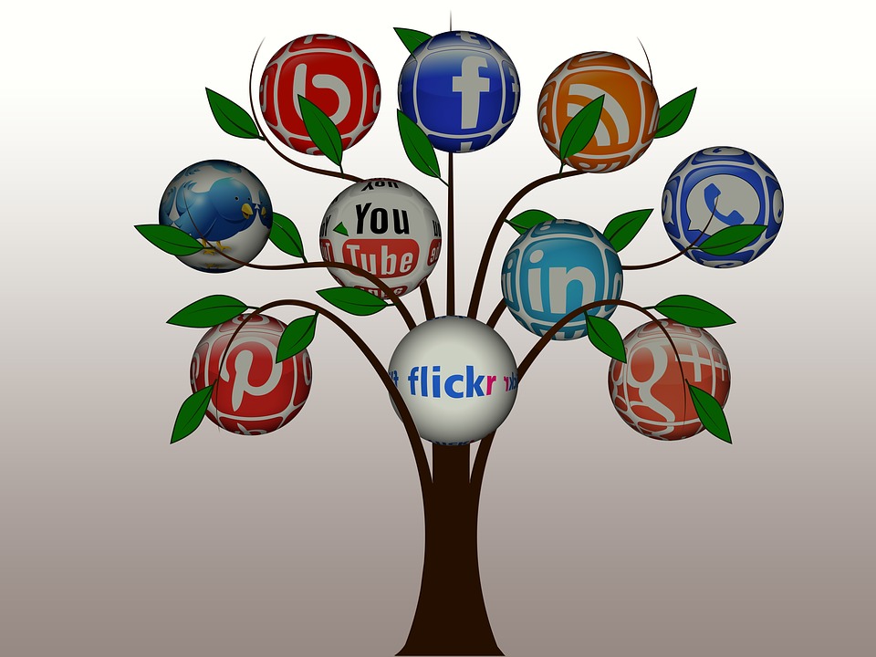 Social Internet Tree Network Structure Networks