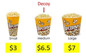 Anchoring-and-Decoy-Pricing