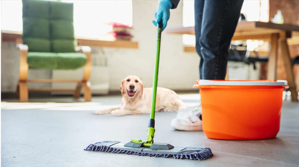 Pet-Friendly Cleaning Products