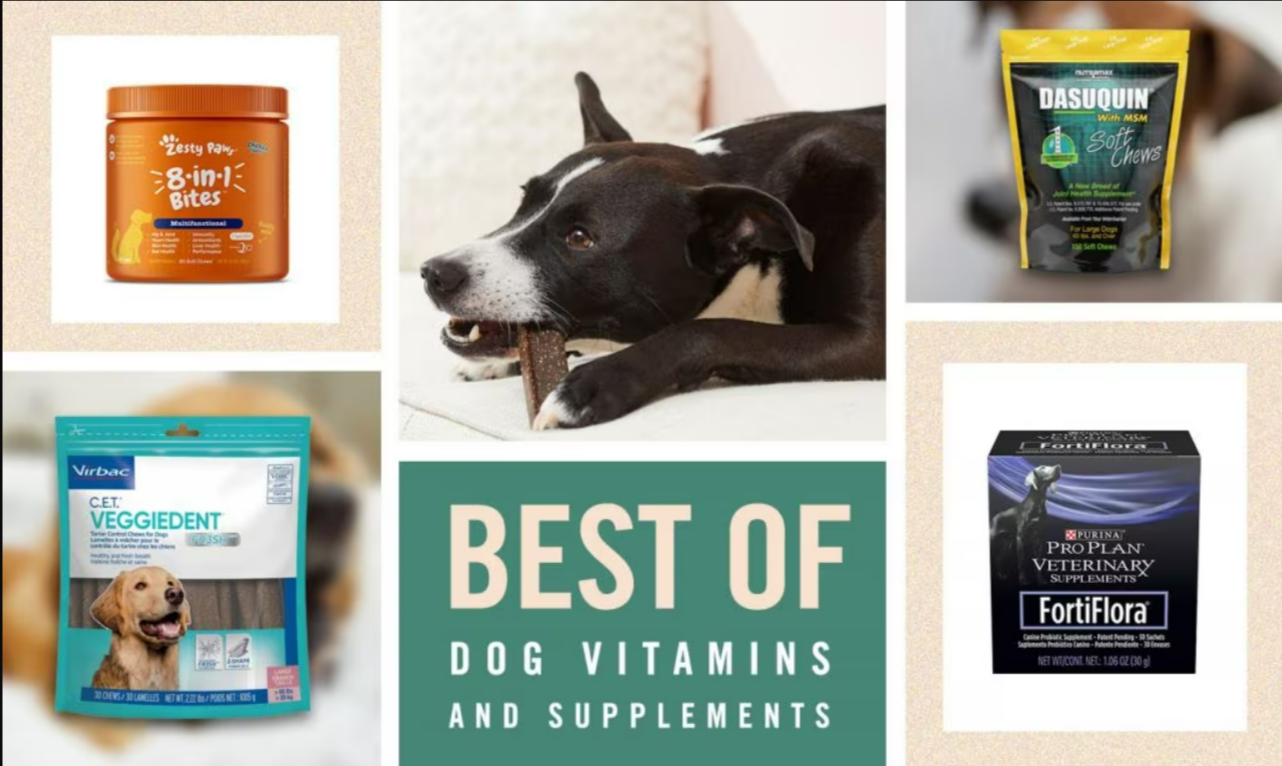 Pet Supplements and Vitamins