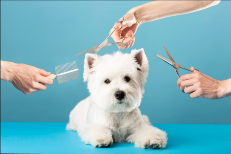 Pet Grooming Kits Top Selling Pet Product