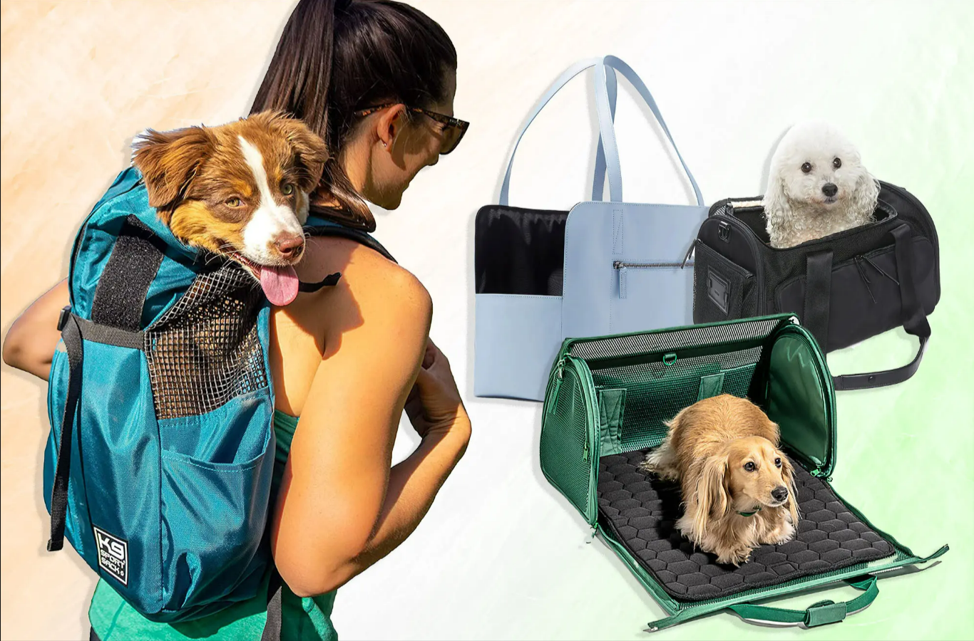 Pet Carriers Top Selling Pet Product