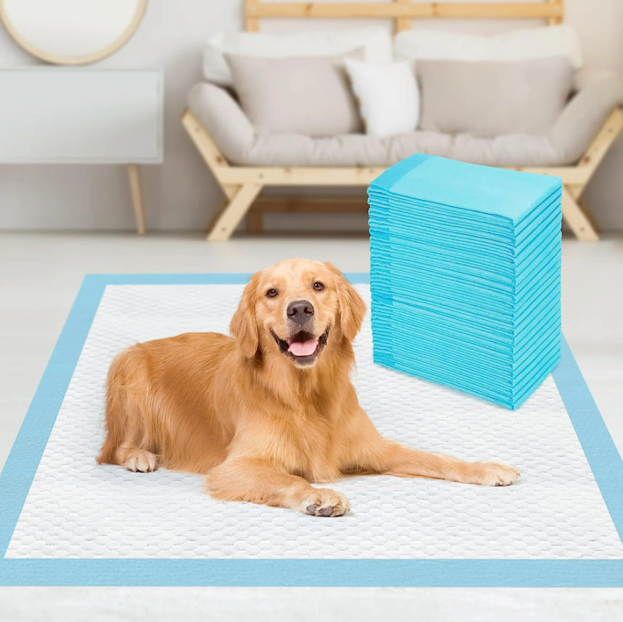 Dog Training Pads