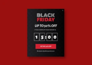 Save-Cart-Abandoners e-commerce business